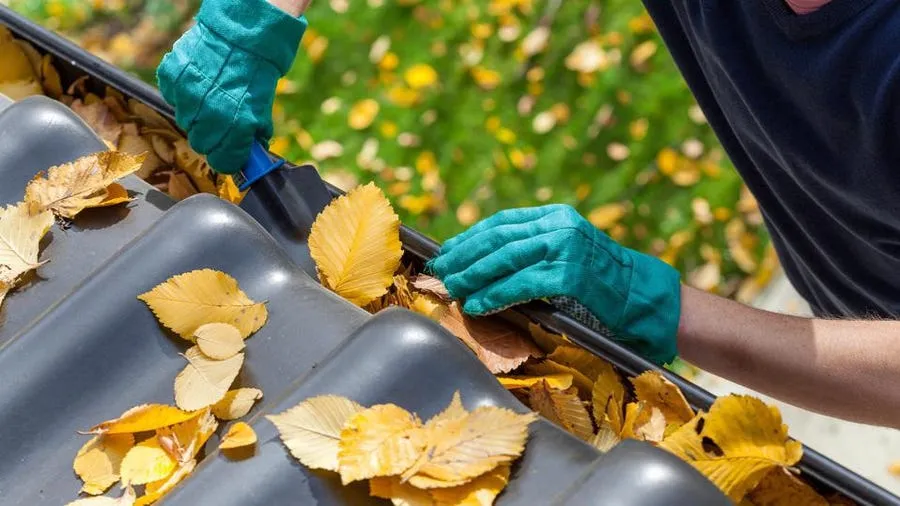 about5 Gutter cleaning in Dallas-Fort Worth